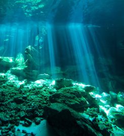 Cenote Dos Ojos